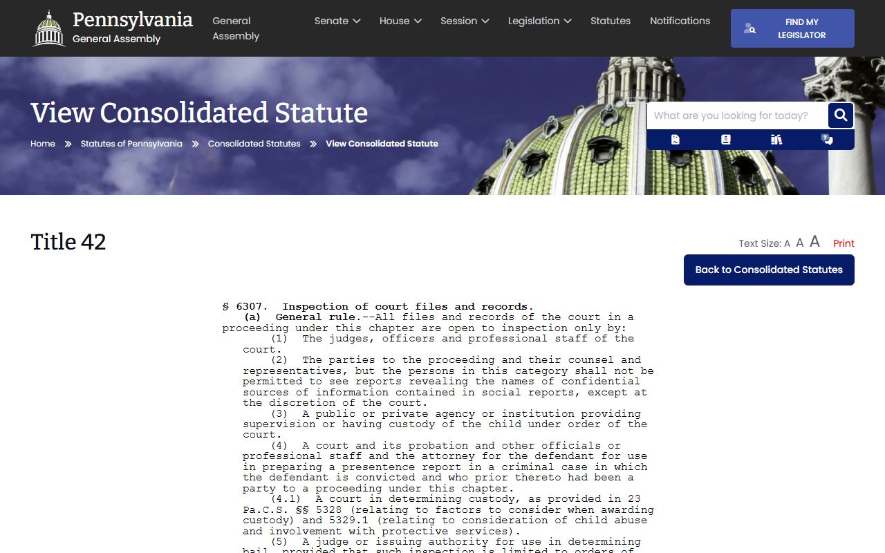 Lancaster County criminal court records juvenile file inspection rule