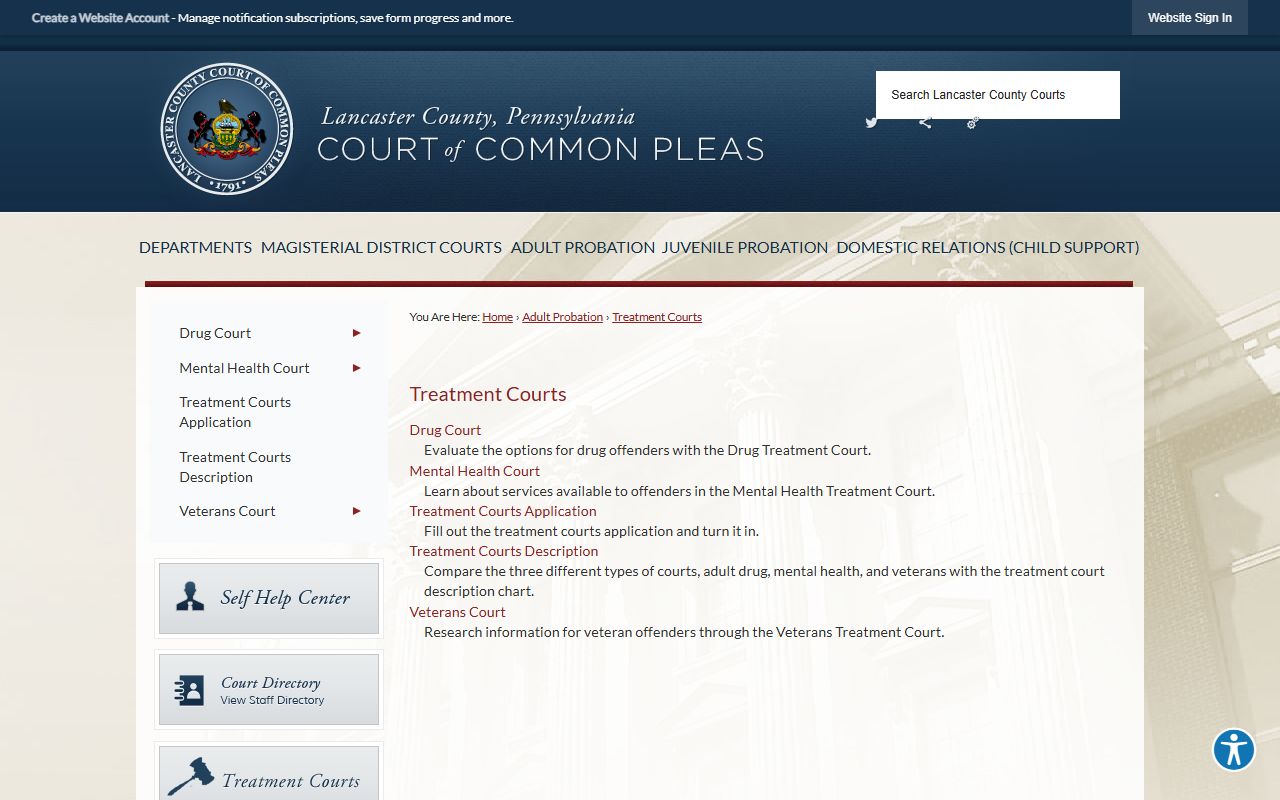 Lancaster County Court of Common Pleas treatment courts overview